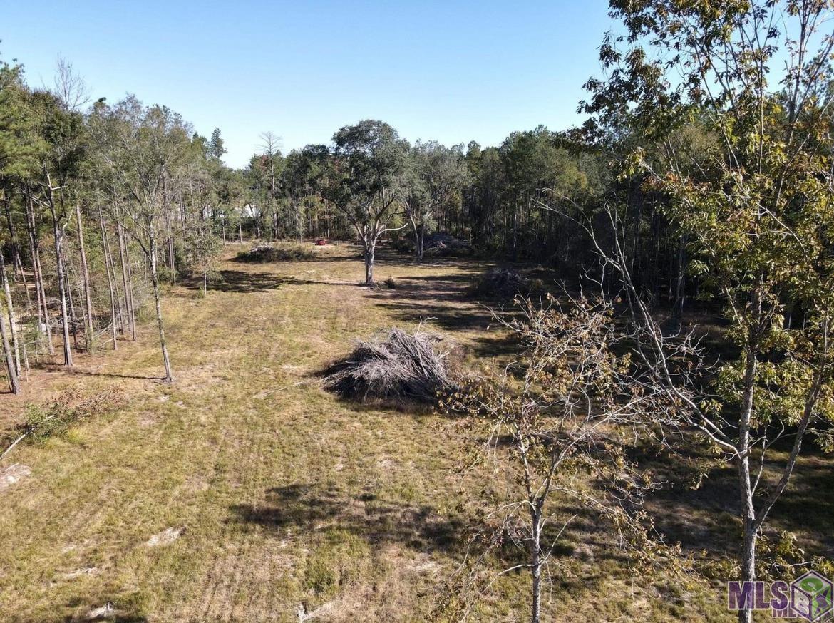 3315 Nesom Road Denham Springs, LA 70706 - Photo 2 of 5