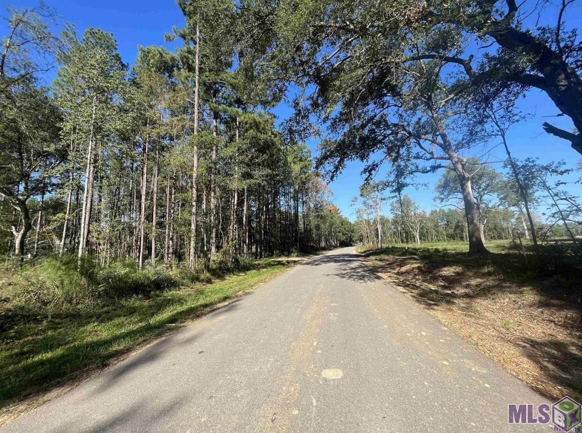 3315 Nesom Road Denham Springs, LA 70706 - Photo 3 of 5