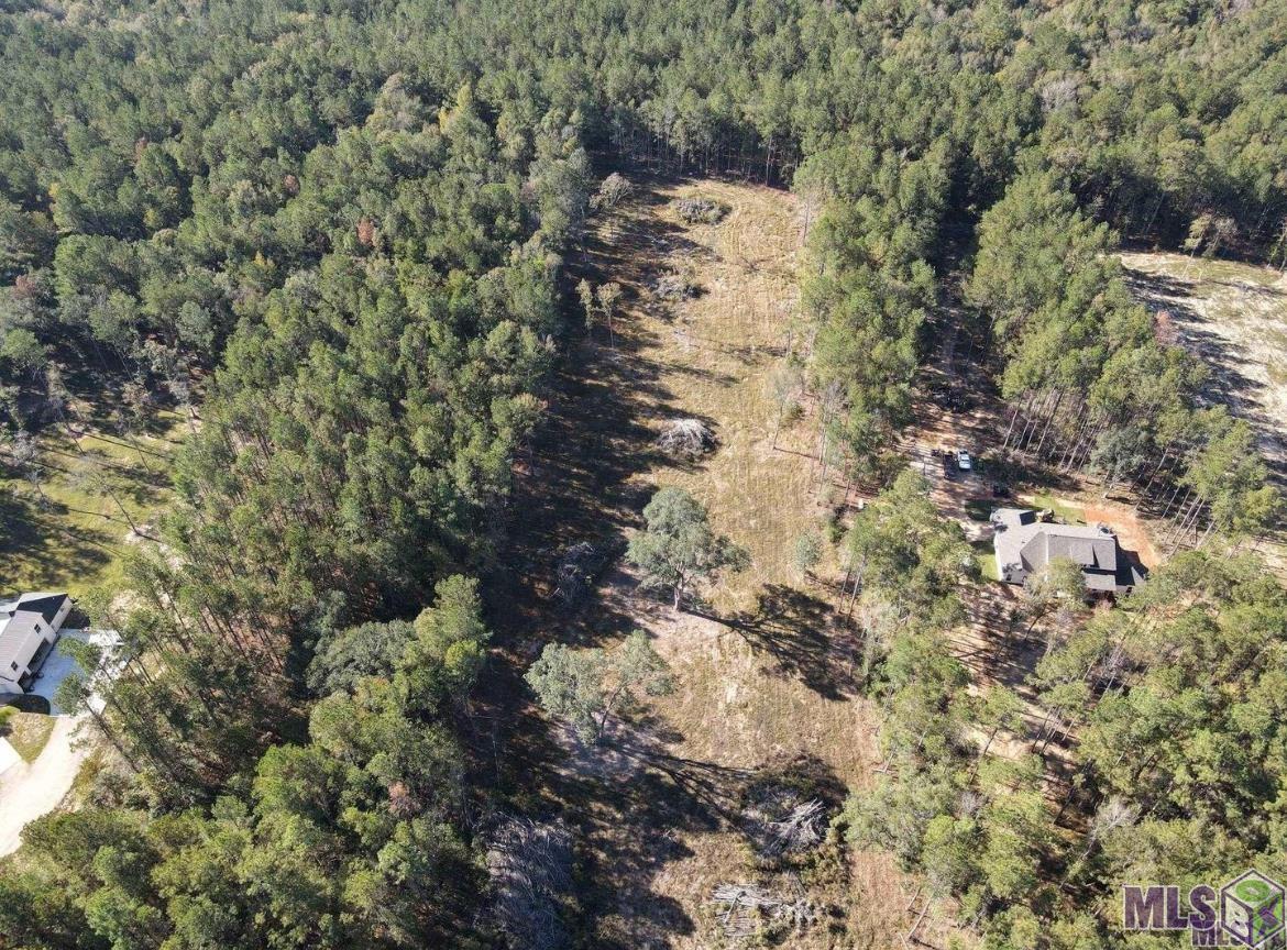 3315 Nesom Road Denham Springs, LA 70706 - Photo 4 of 5