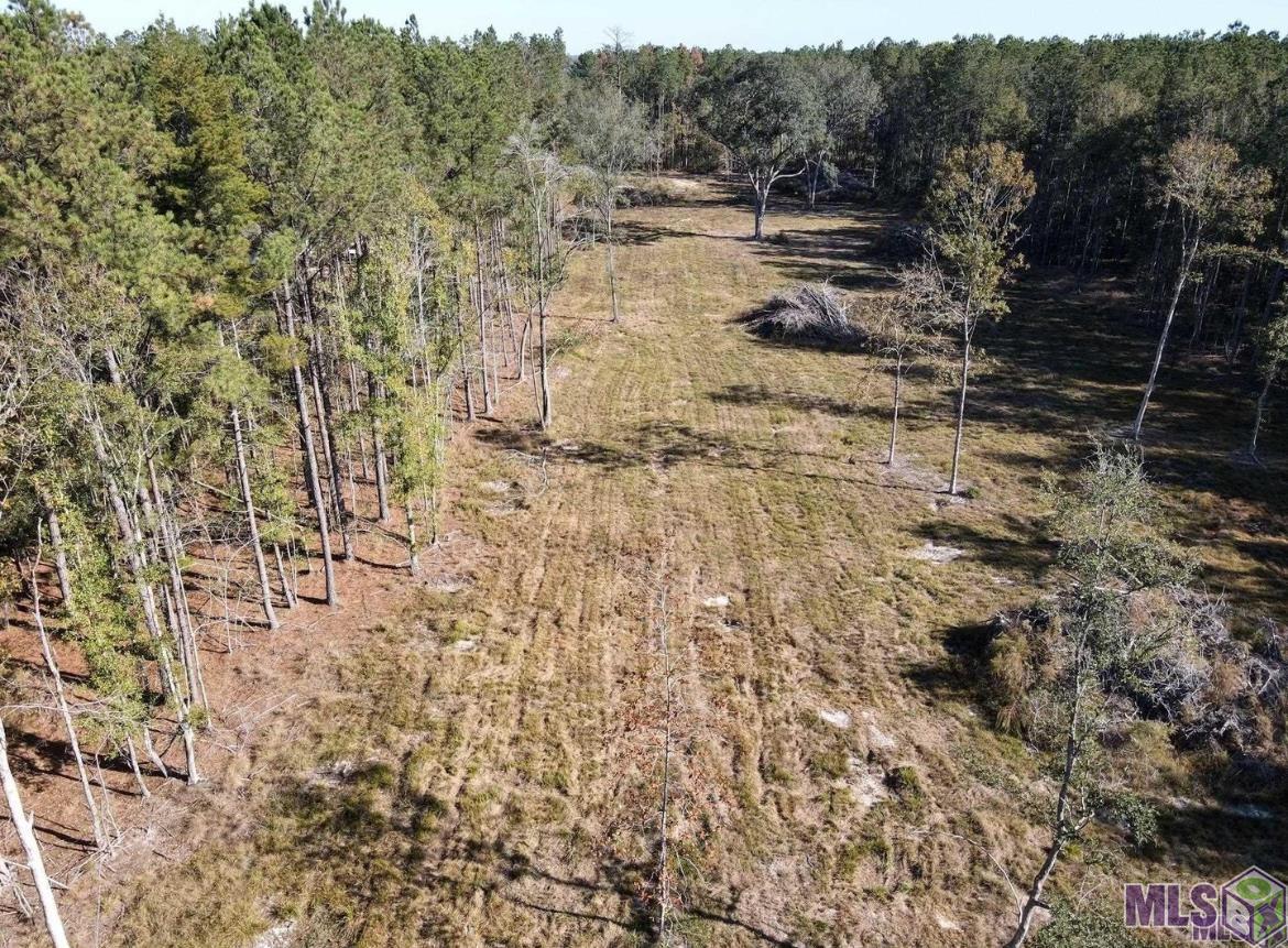 3315 Nesom Road Denham Springs, LA 70706 - Photo 5 of 5