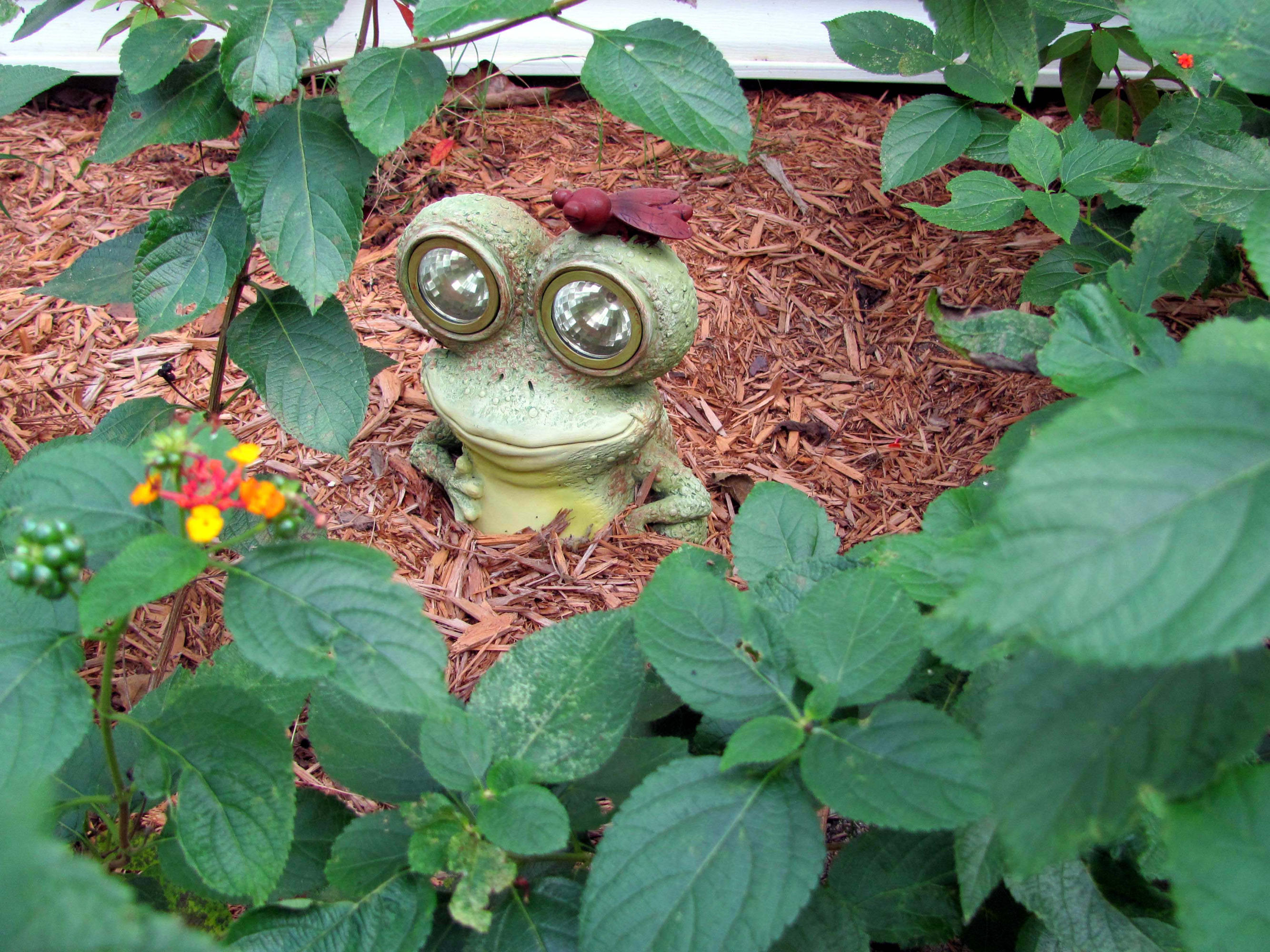6166 Garden City Road Crestview, FL 32539 - Photo 54 of 74 Beautiful Landscaping, 0154 Med