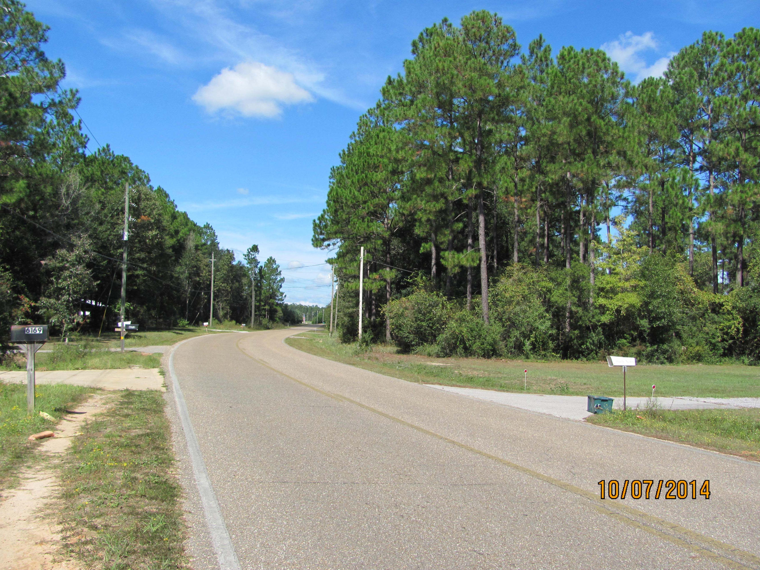 6166 Garden City Road Crestview, FL 32539 - Photo 69 of 74 Road View North, 0046 Med