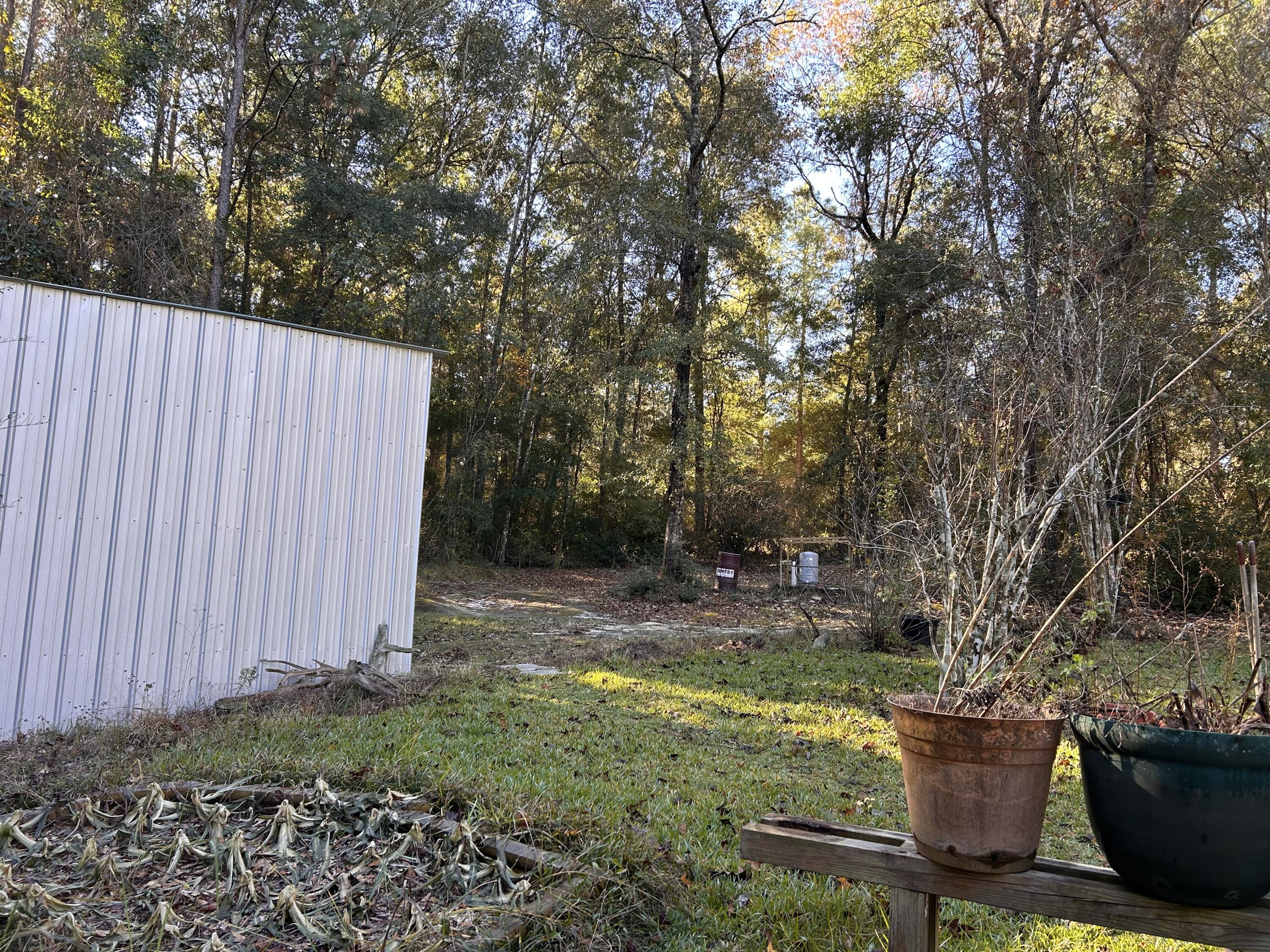 6853 Preston Posey Road Baker, FL 32531 - Photo 9 of 12 a view of a backyard with plants and large trees