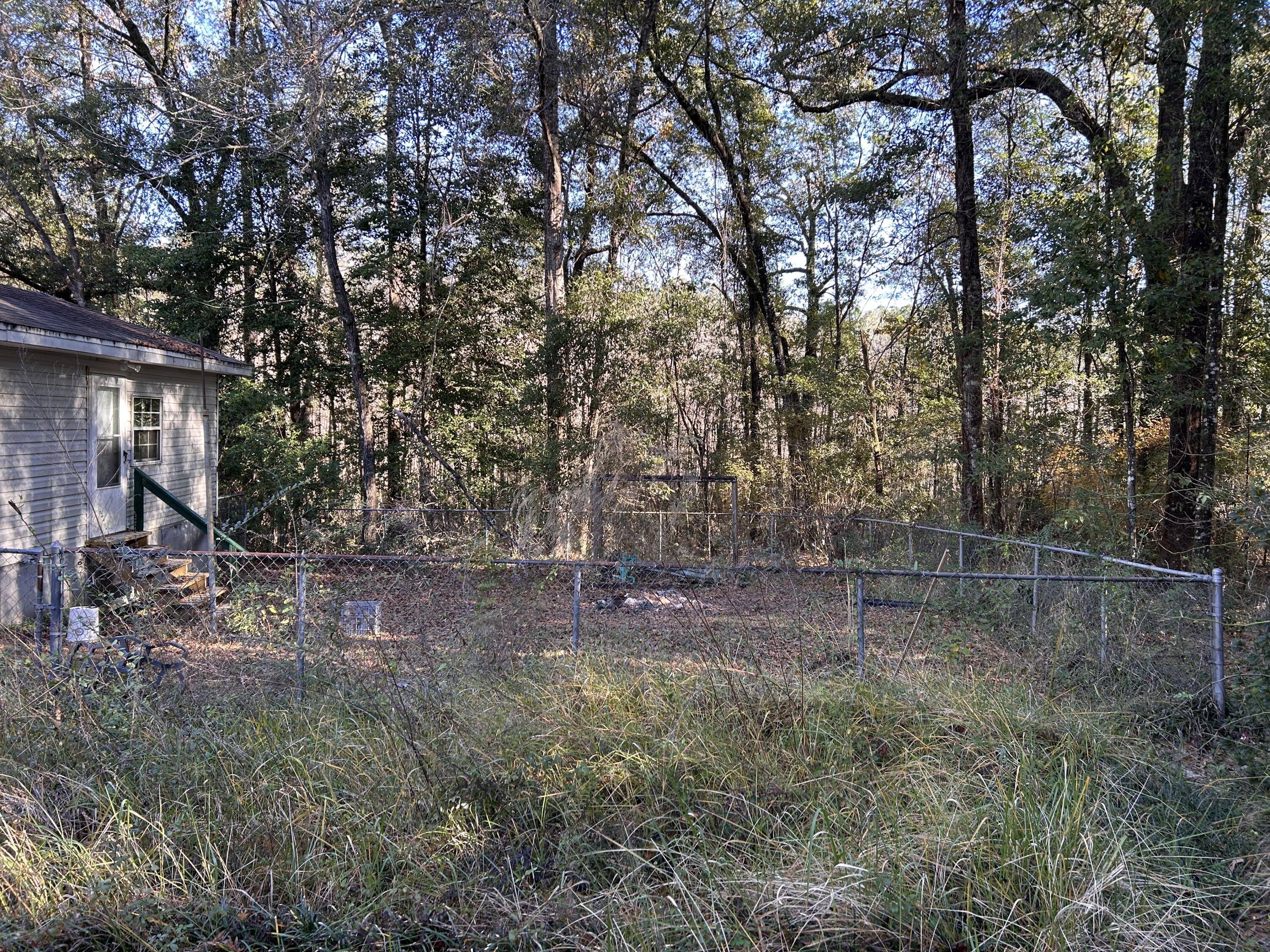6853 Preston Posey Road Baker, FL 32531 - Photo 10 of 12 a view of a yard with large trees