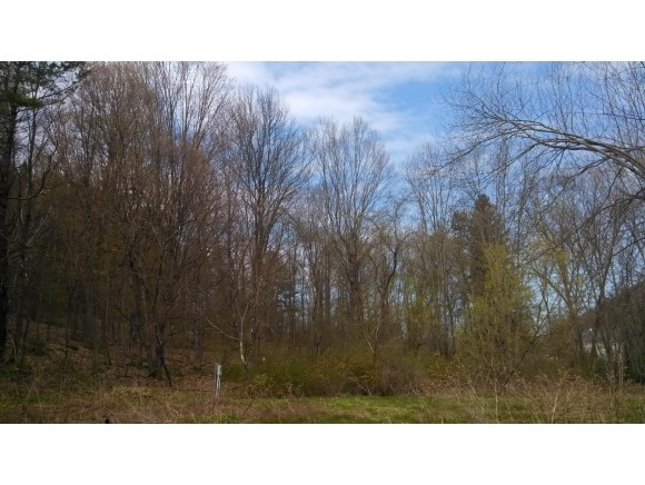 Lot 1 North Pownal Road Pownal, VT 05261 - Photo 1 of 1 Gallery Image 1