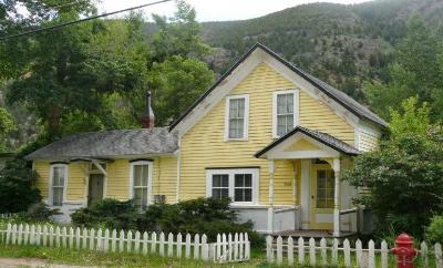 900 Rose Street Georgetown, CO 80444 - Photo 1 of 1 a front view of a house with a garden