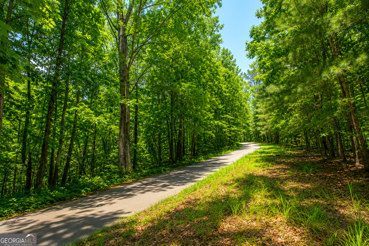 354 Minshew Road Northeast Rome, GA 30161 - Photo 63 of 65