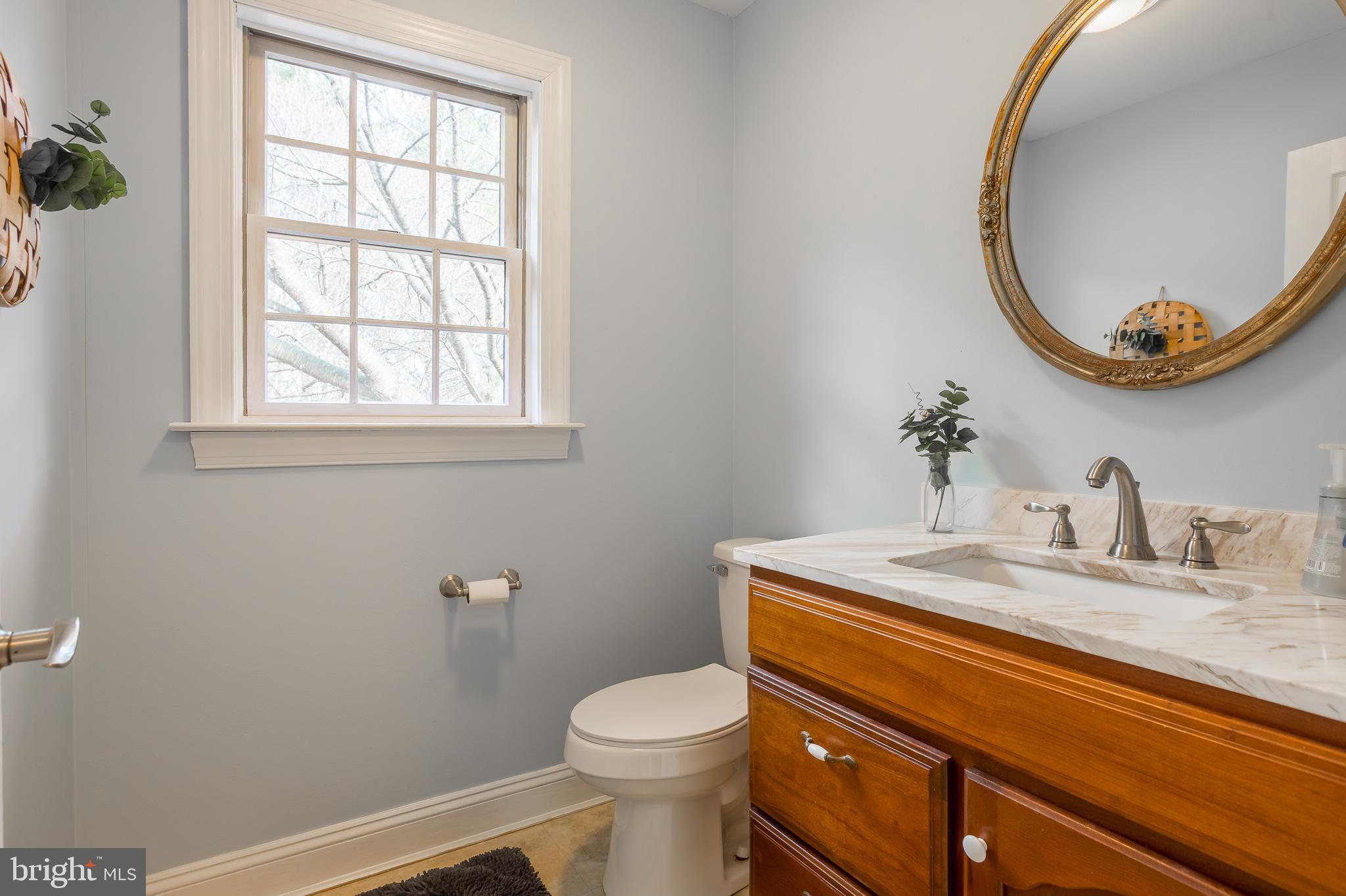 7904 Clark Road Denton, MD 21629 - Photo 20 of 71 a bathroom with a sink a mirror and a toilet