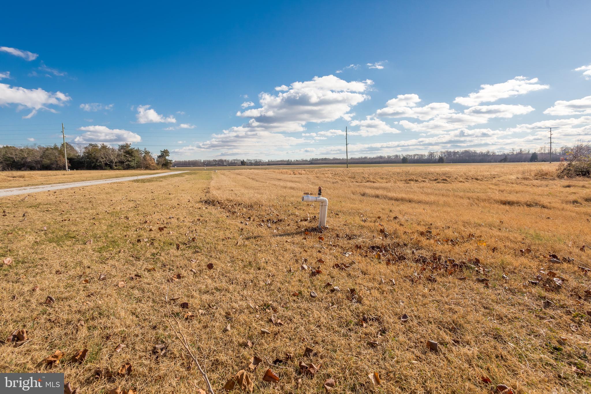7904 Clark Road Denton, MD 21629 - Photo 49 of 71 a view of an ocean