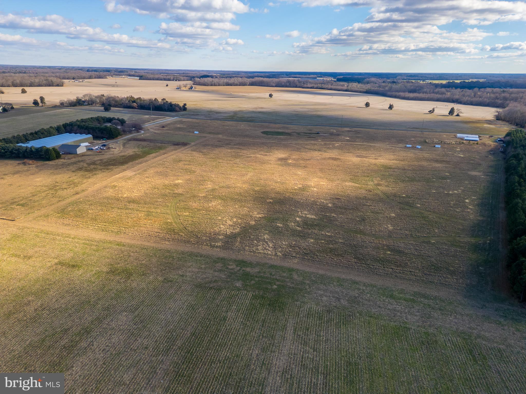 7904 Clark Road Denton, MD 21629 - Photo 59 of 71