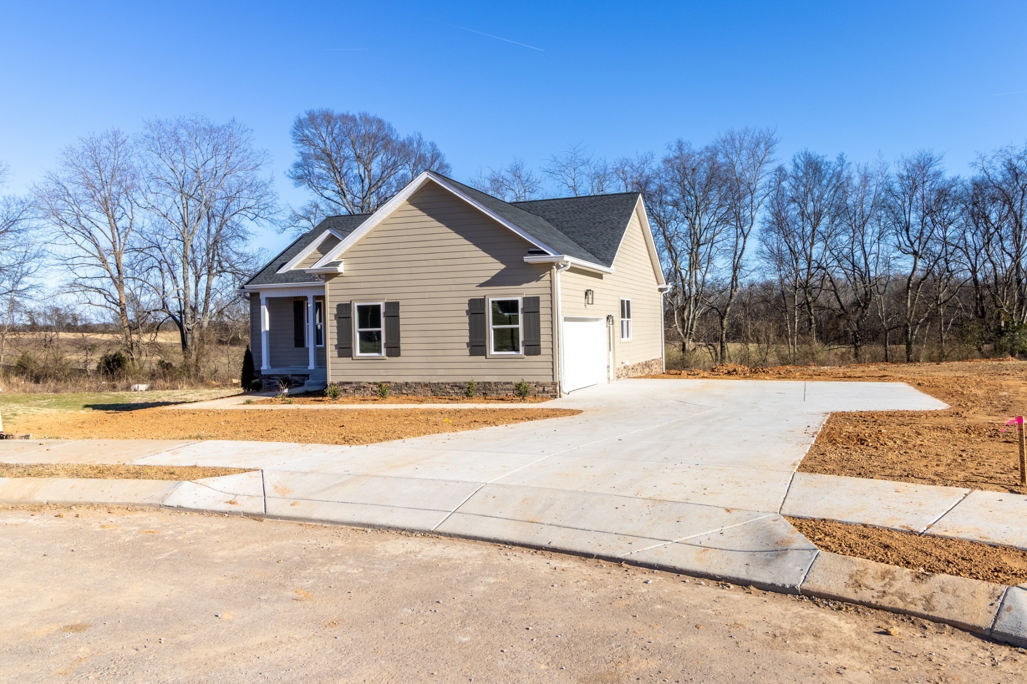 1203 Goose Drive Springfield, TN 37172 - Photo 2 of 29 a house with palm tree in front of it