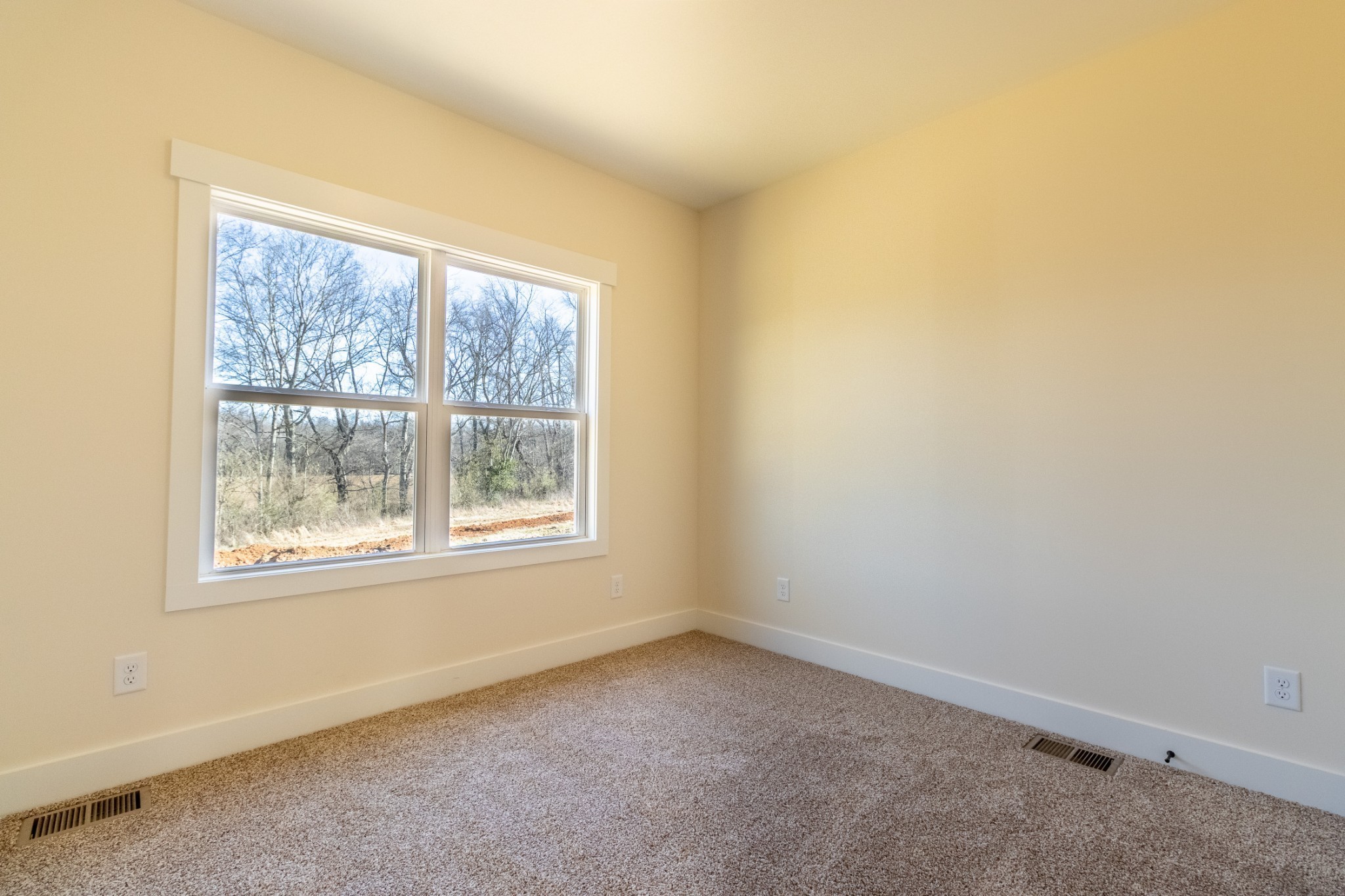 1203 Goose Drive Springfield, TN 37172 - Photo 24 of 29 an empty room with a window