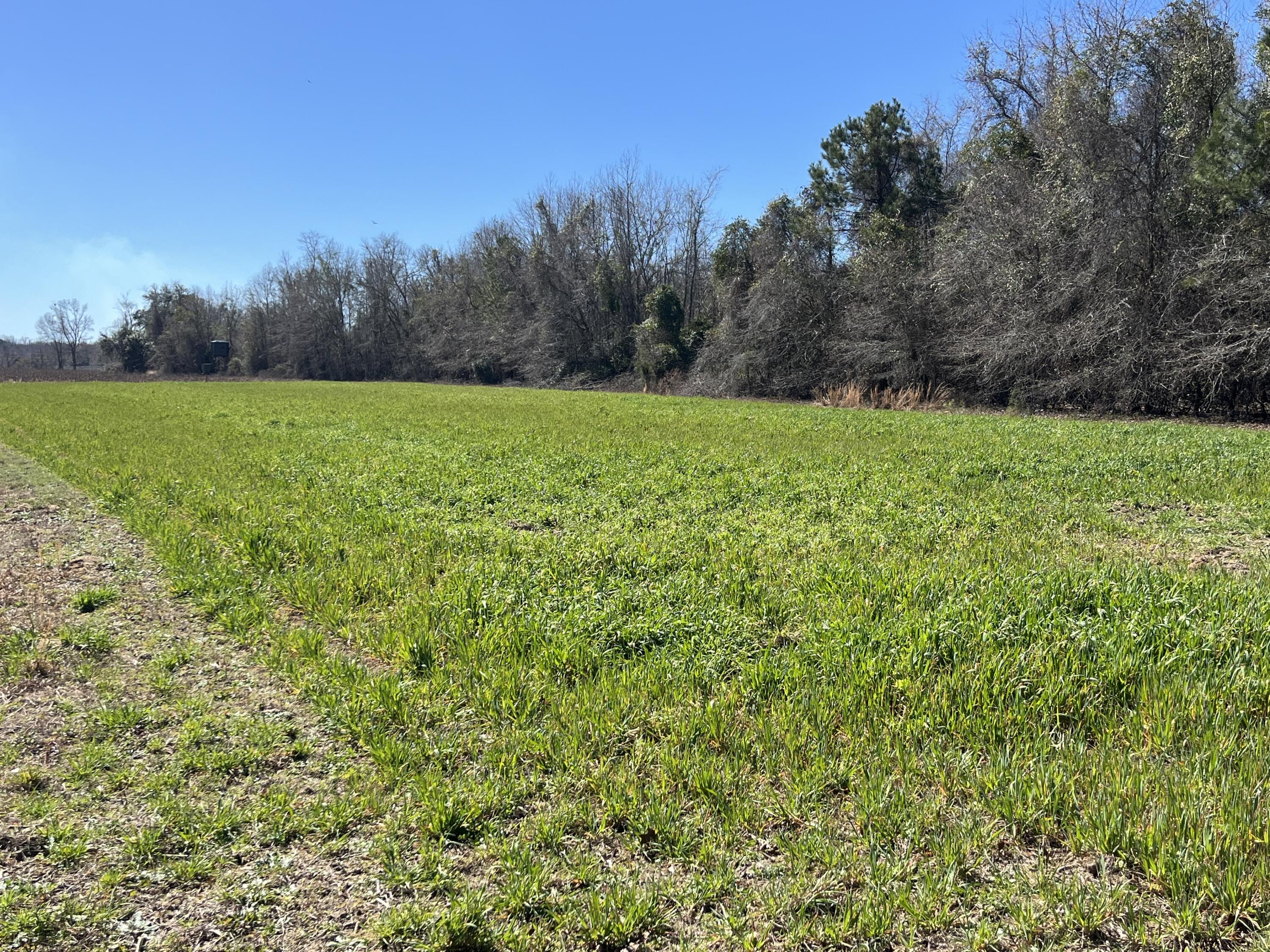 413 County Rd S-45-78 Kingstree, SC 29556 - Photo 11 of 15 IMG_5306