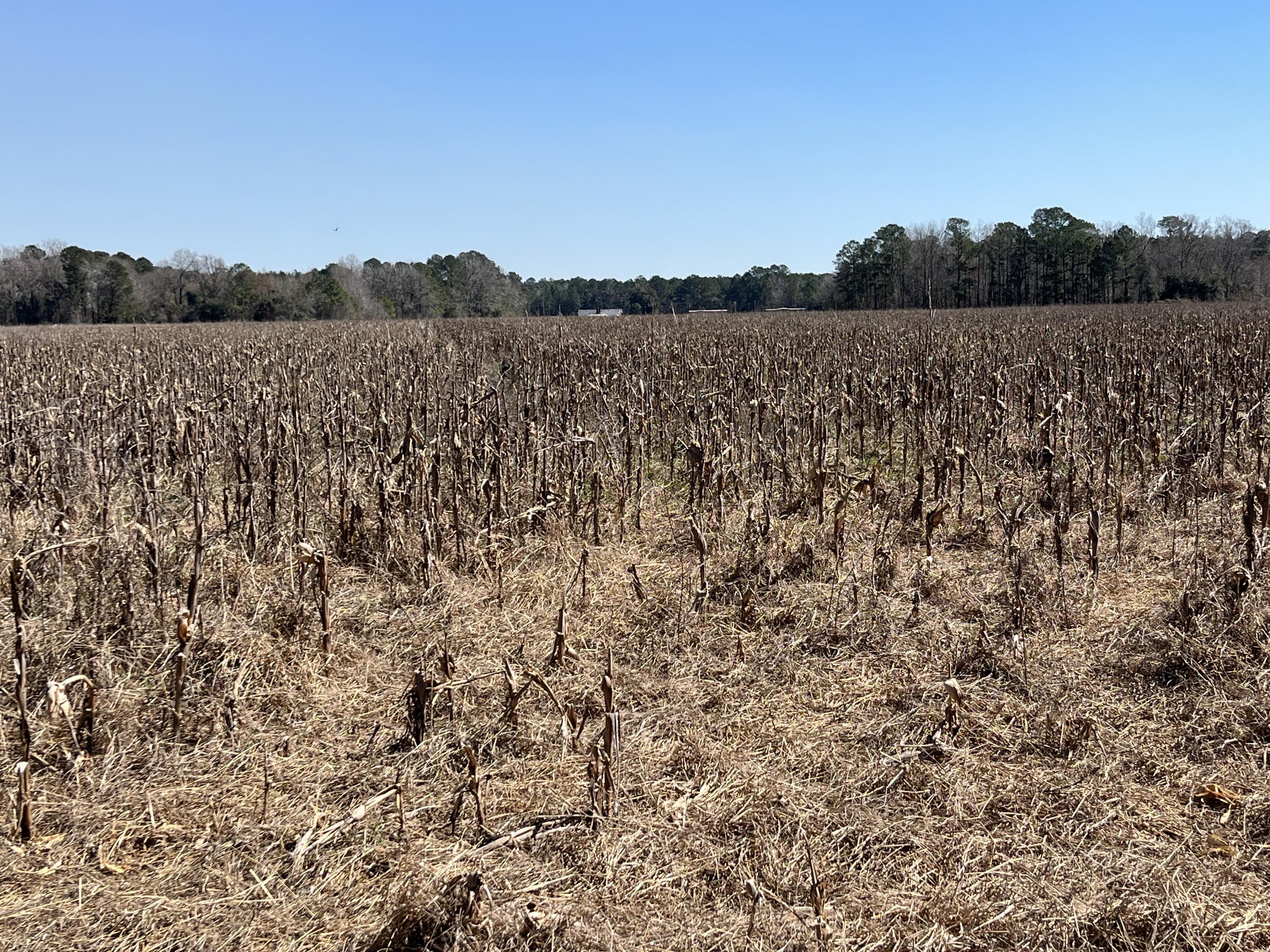 413 County Rd S-45-78 Kingstree, SC 29556 - Photo 12 of 15 IMG_5320