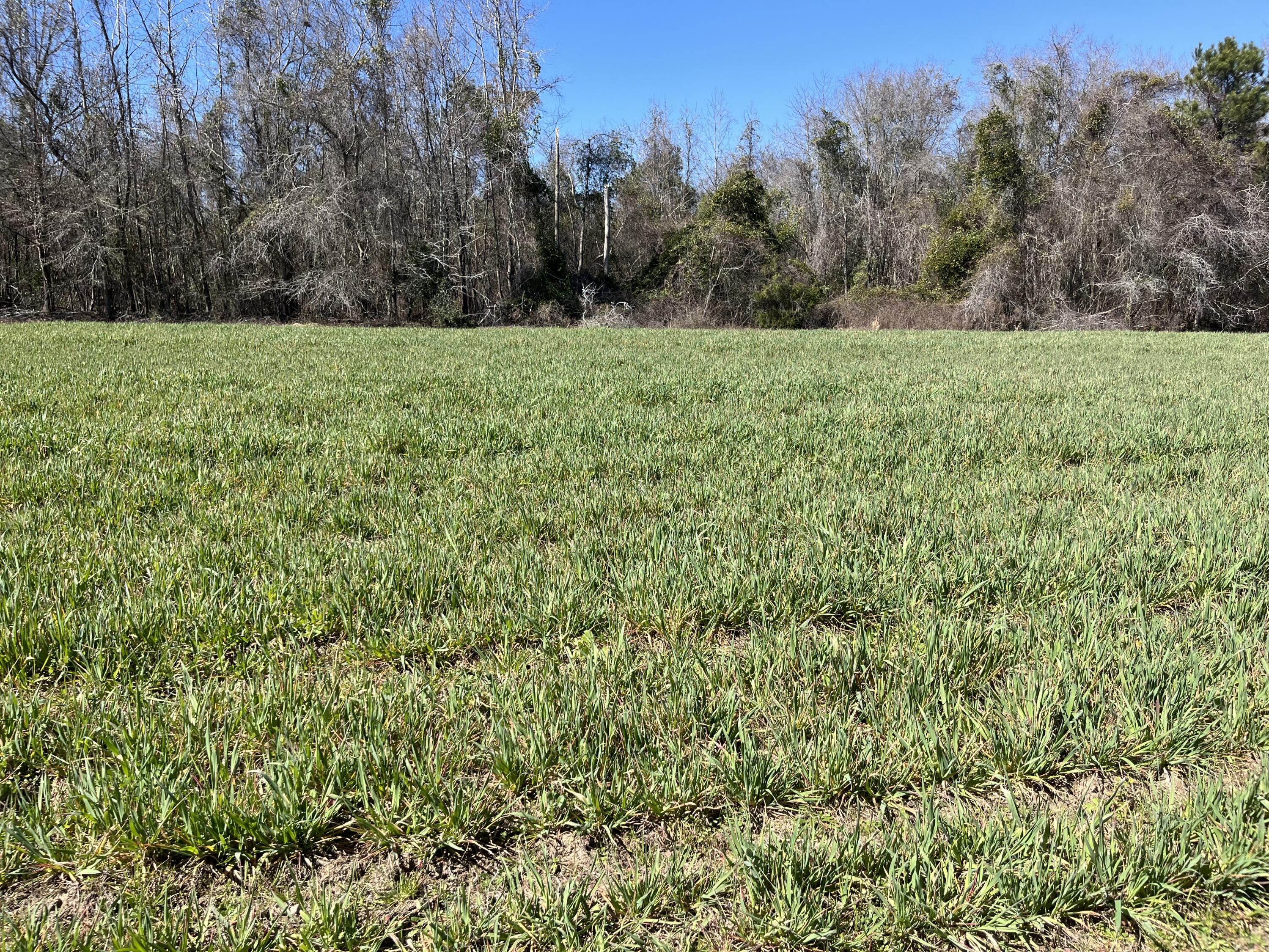 413 County Rd S-45-78 Kingstree, SC 29556 - Photo 13 of 15 IMG_5318