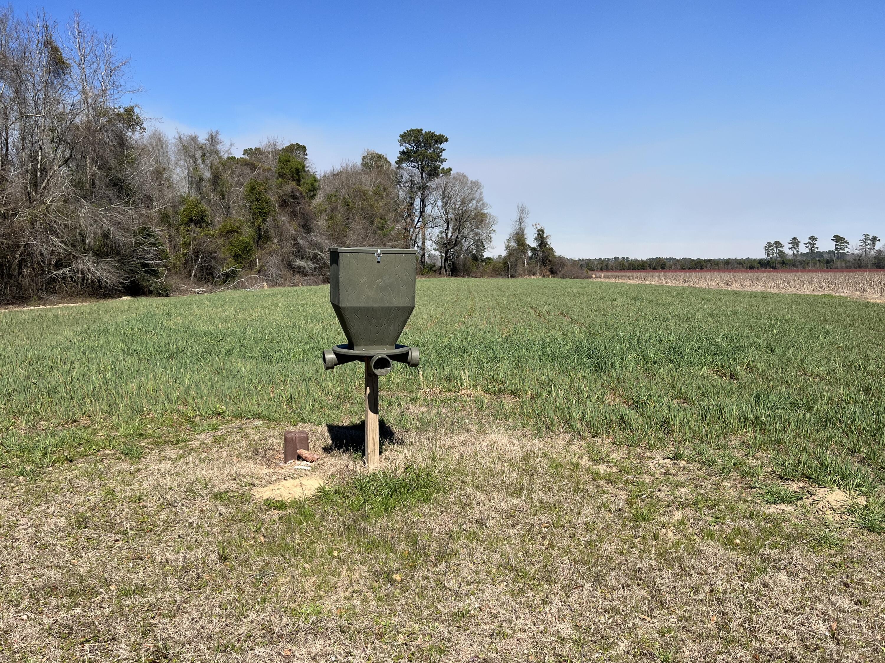 413 County Rd S-45-78 Kingstree, SC 29556 - Photo 14 of 15 IMG_5308