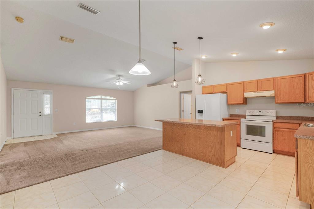 3559 East Glenn Street Inverness, FL 34453 - Photo 17 of 37