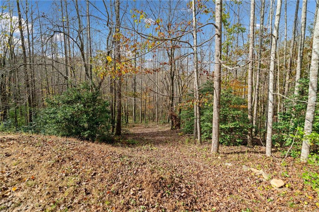 7 Highpoint Ridge Road Ellijay, GA 30536 - Photo 5 of 25 Gallery Image 5