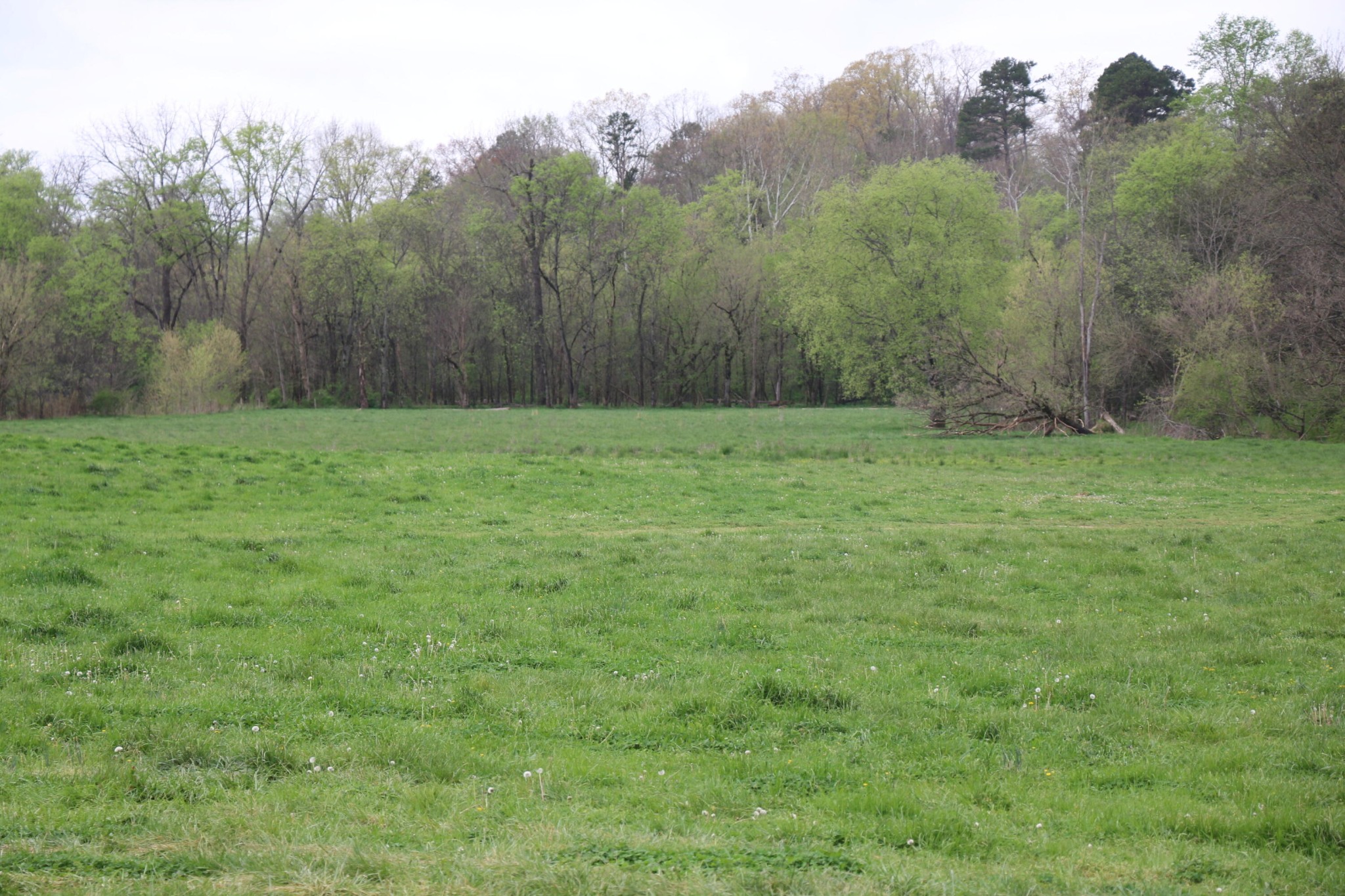 606 Campground Road Madisonville, TN 37354 - Photo 1 of 9