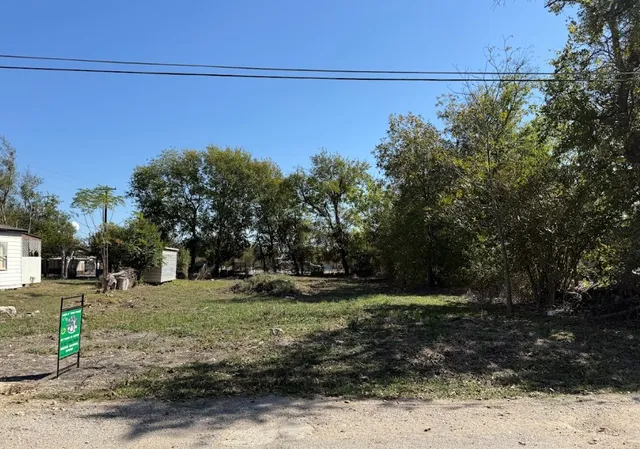 a view of a yard with a tree