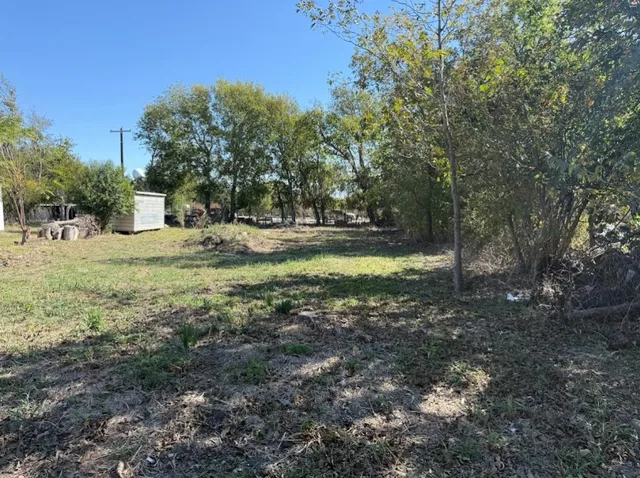 a view of a yard with a tree