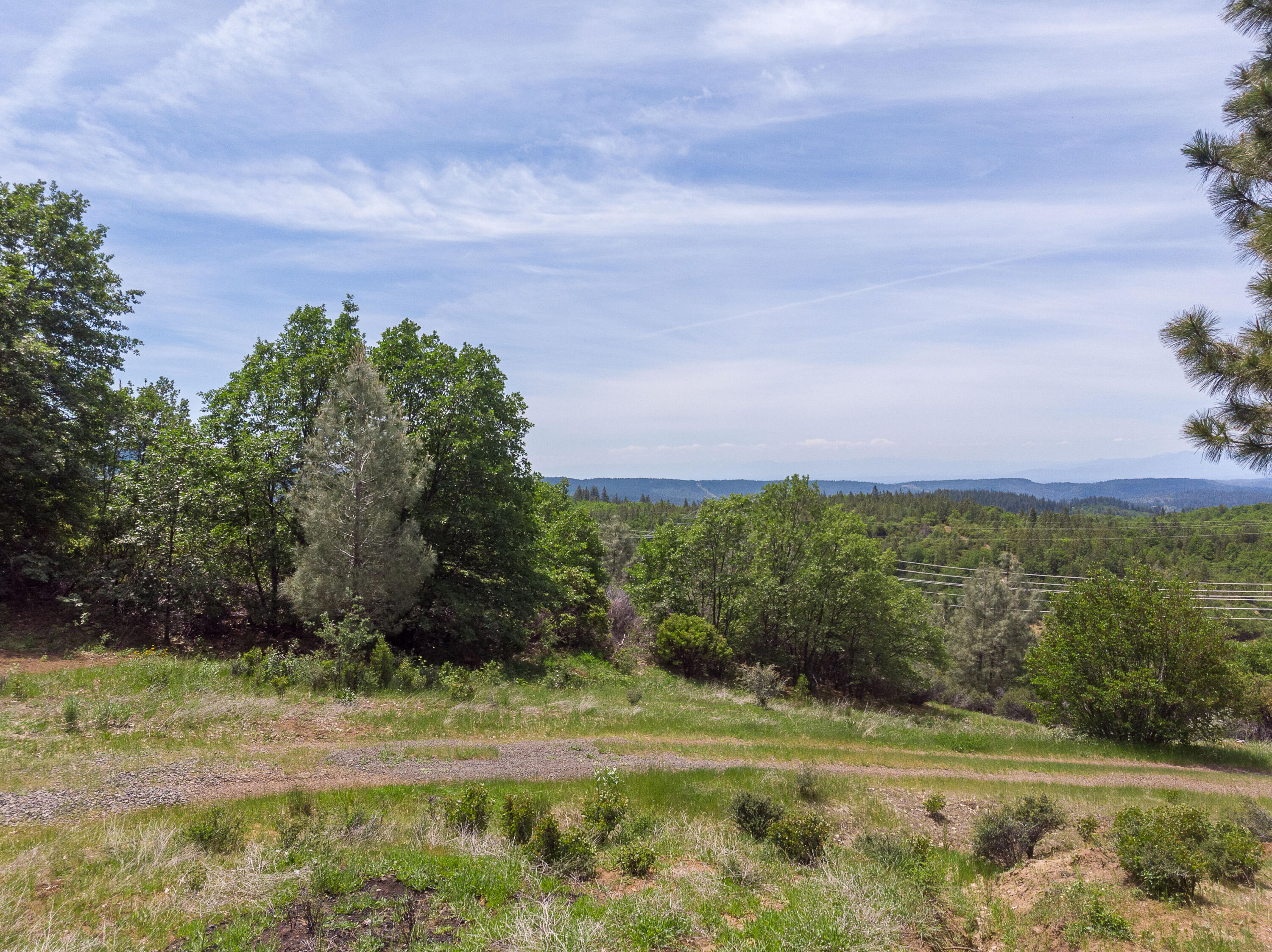 320 Acres Melton Road Bella Vista, CA 96008 - Photo 12 of 19 a view of a yard with an trees