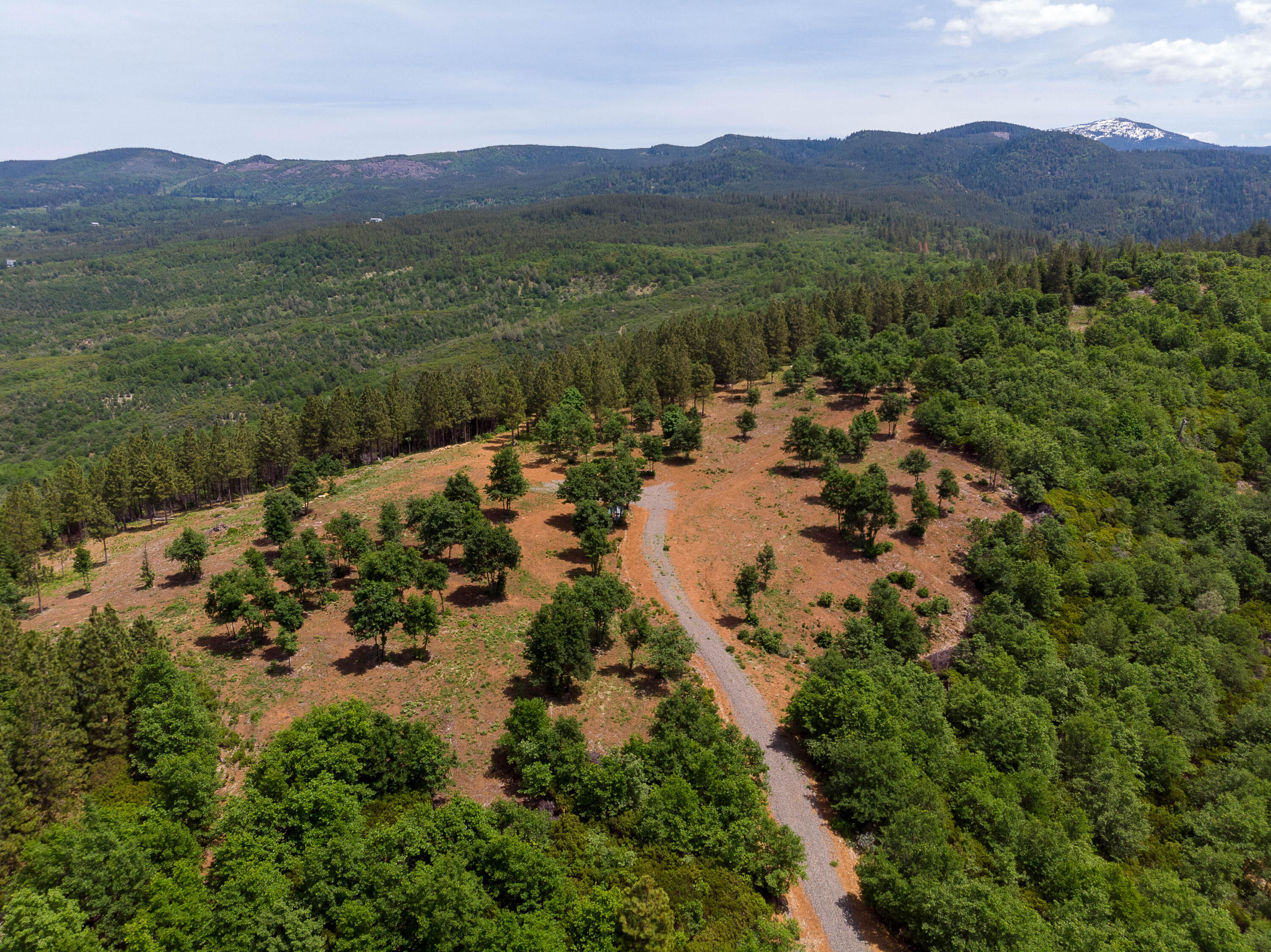 320 Acres Melton Road Bella Vista, CA 96008 - Photo 14 of 19 a view of a lush green hillside and houses