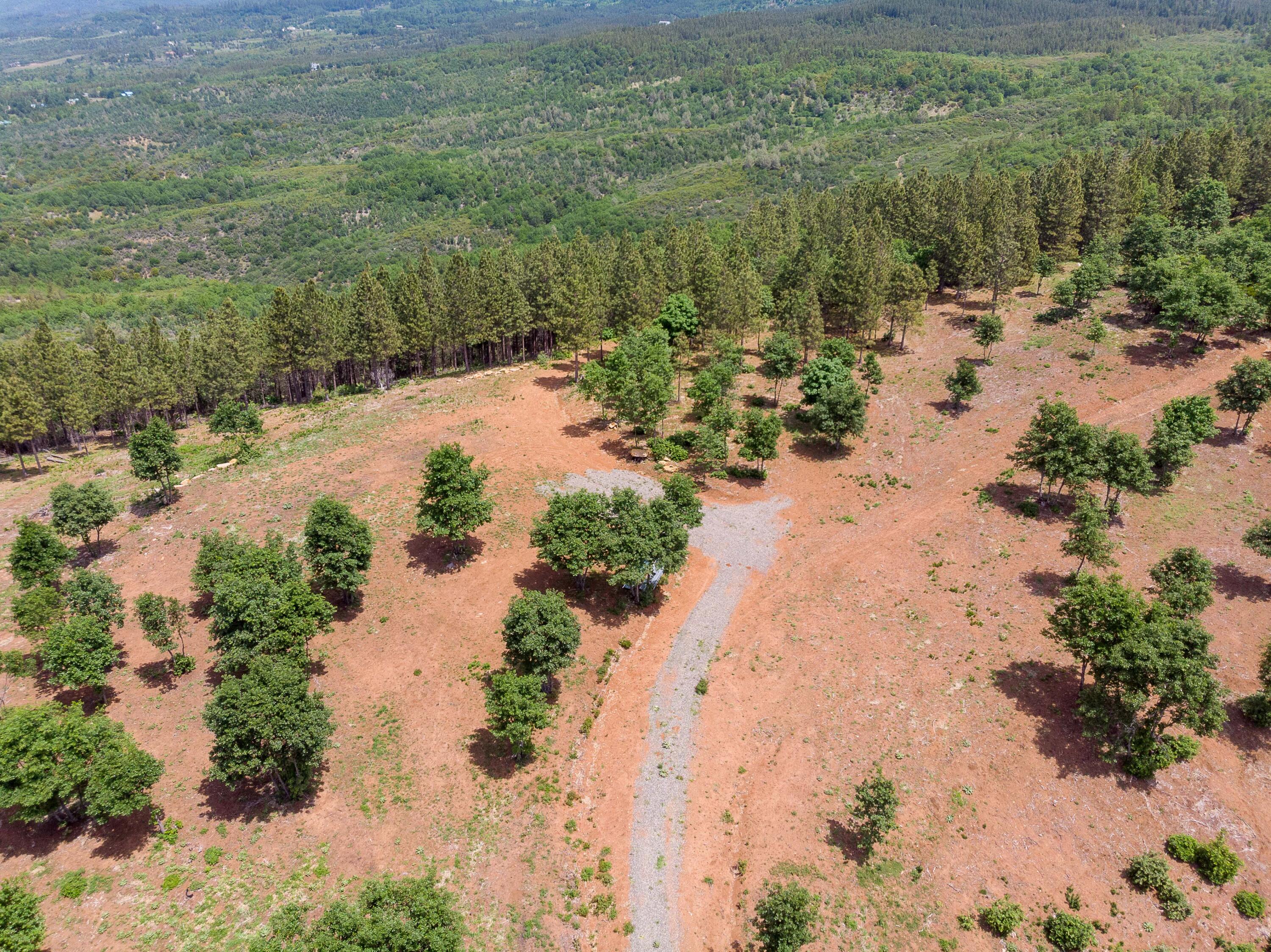 320 Acres Melton Road Bella Vista, CA 96008 - Photo 16 of 19 a view of a lake with beach and outdoor space
