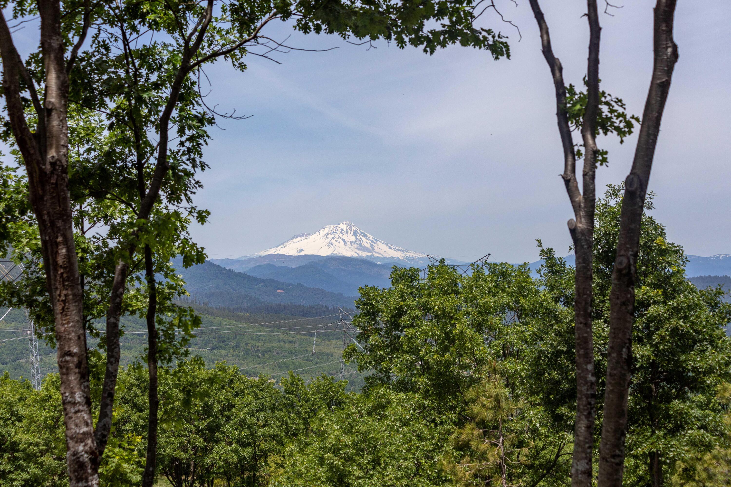 320 Acres Melton Road Bella Vista, CA 96008 - Photo 3 of 19 an aerial view of a house with a yard