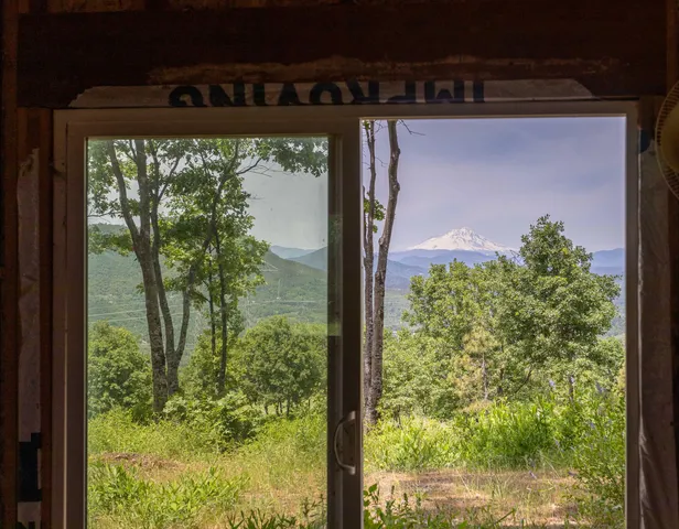 a view of a garden from a window