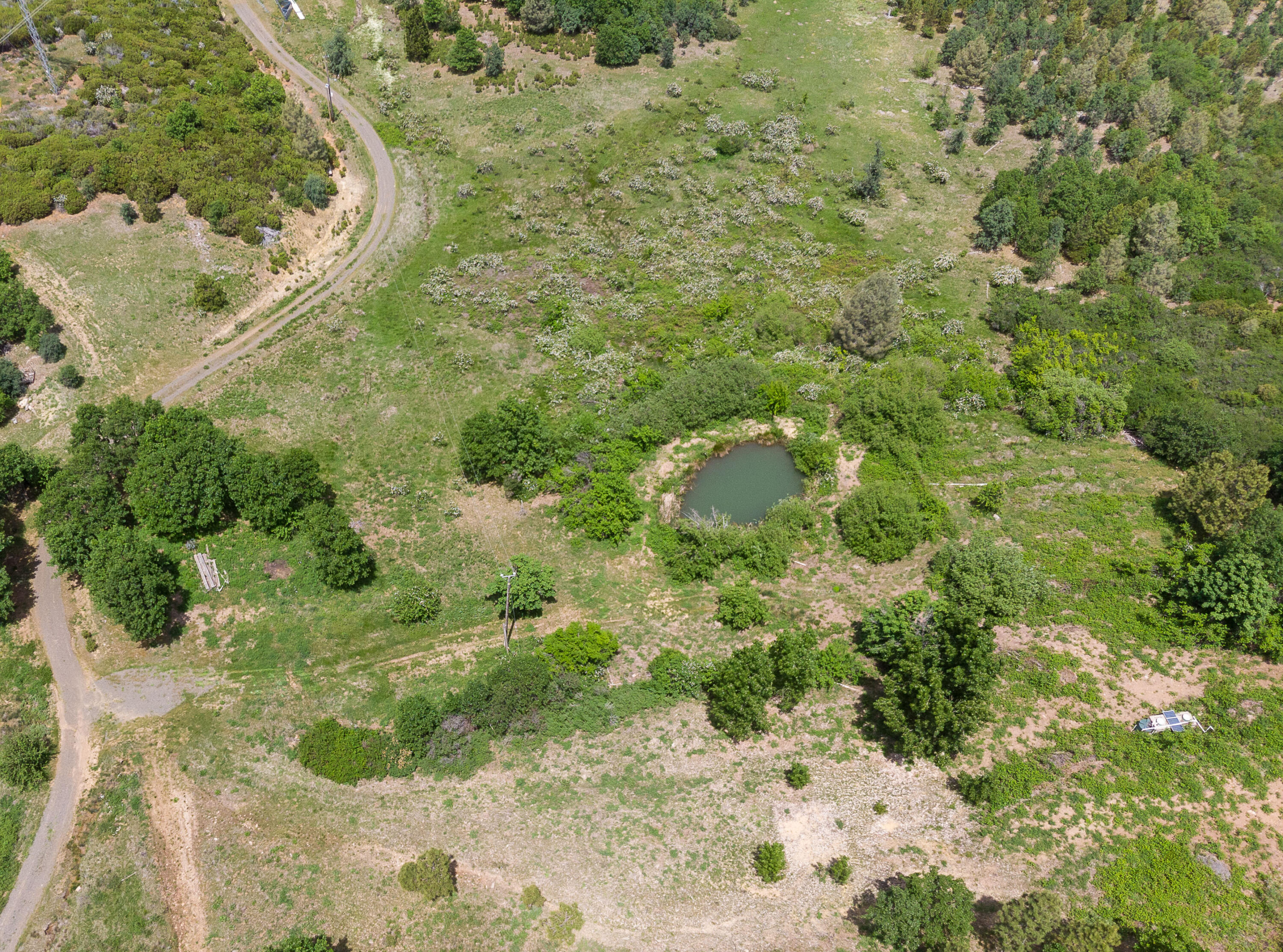 320 Acres Melton Road Bella Vista, CA 96008 - Photo 7 of 19 a view of a forest with a tree