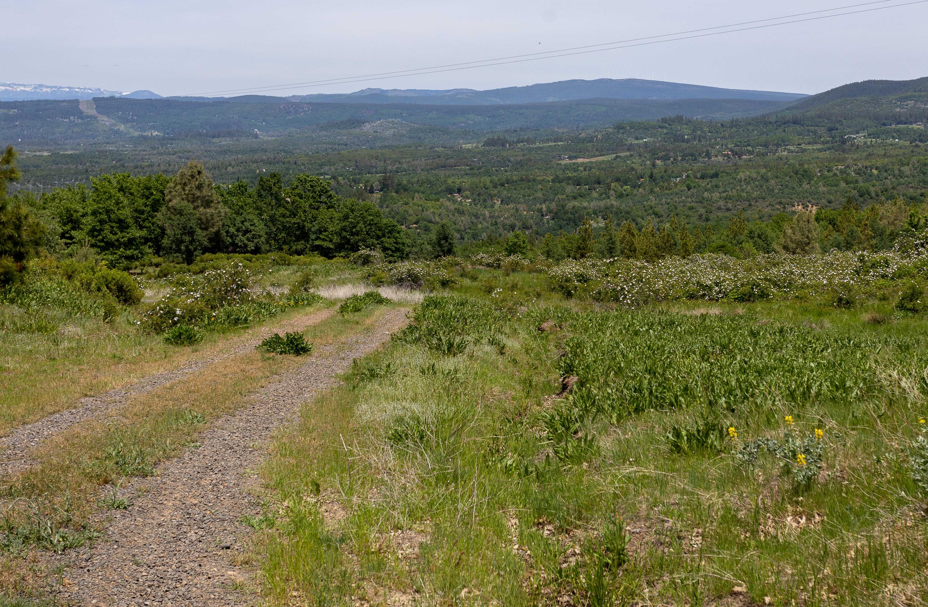 320 Acres Melton Road Bella Vista, CA 96008 - Photo 9 of 19 a view of a lush green hillside and a houses