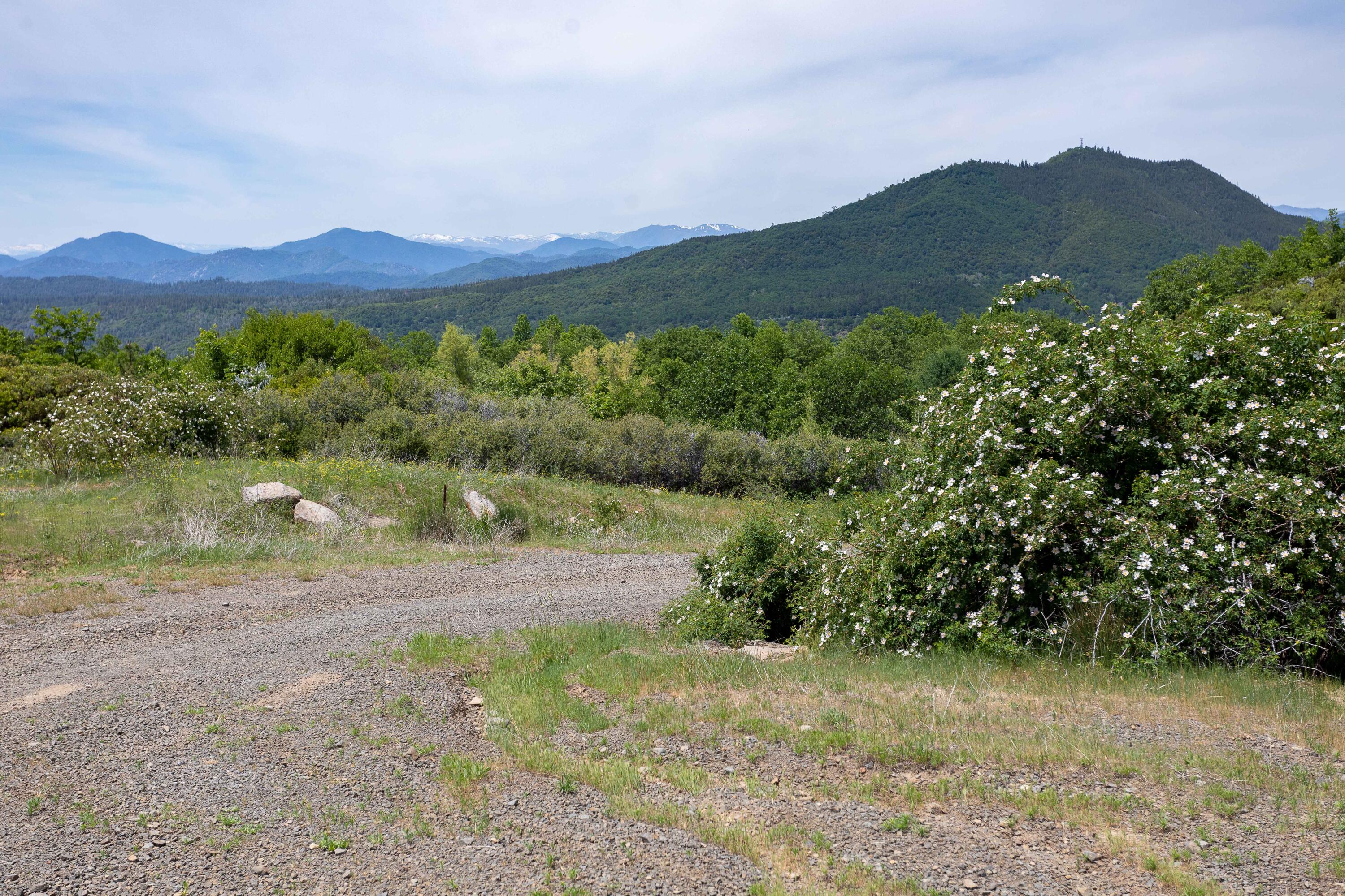320 Acres Melton Road Bella Vista, CA 96008 - Photo 10 of 19 a view of a town with mountains in the background