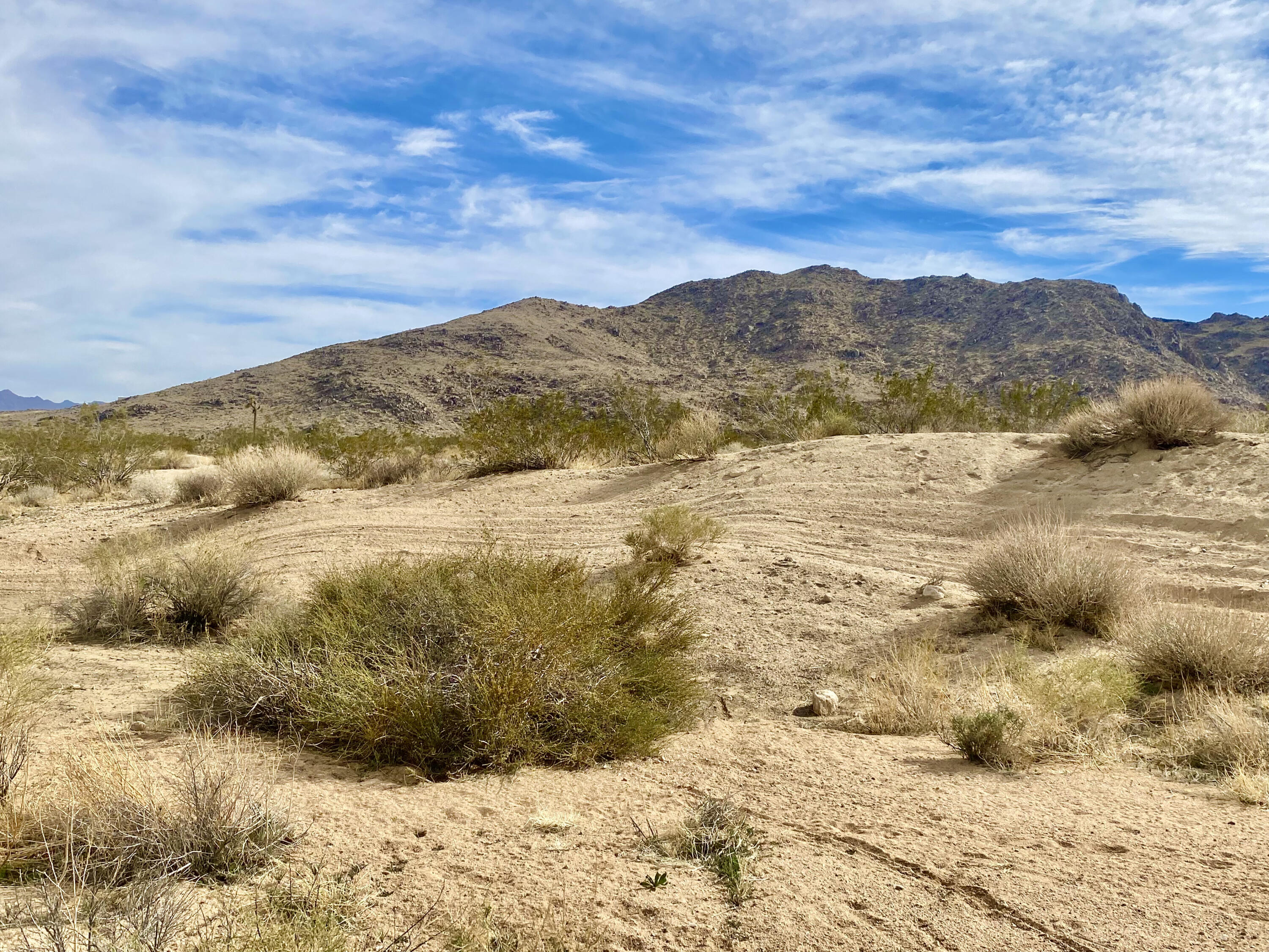 303 Drexel Road Joshua Tree, CA 92252 - Photo 3 of 11 IMG_9435