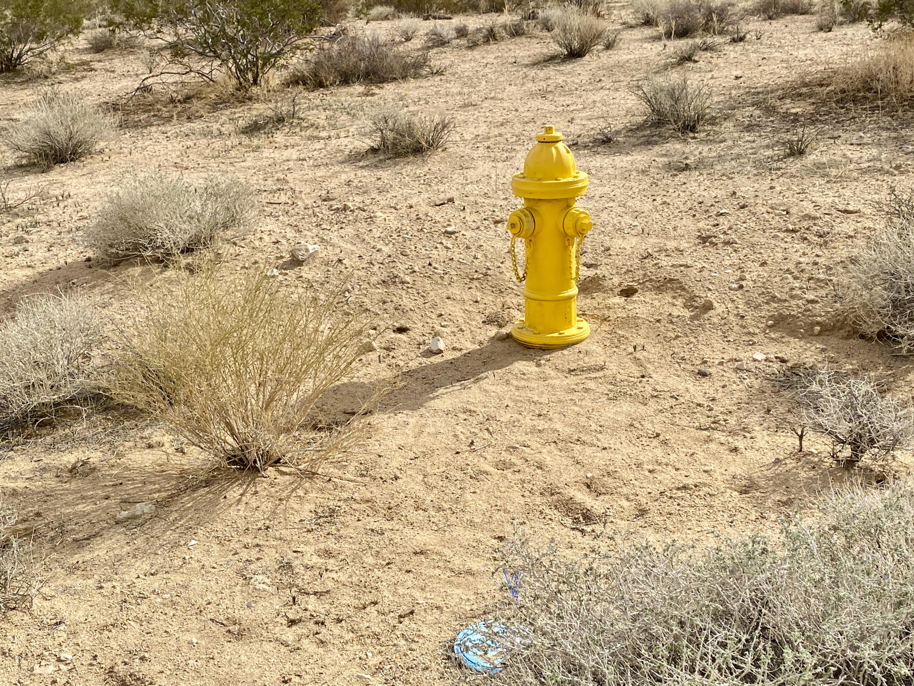 303 Drexel Road Joshua Tree, CA 92252 - Photo 4 of 11 IMG_9431
