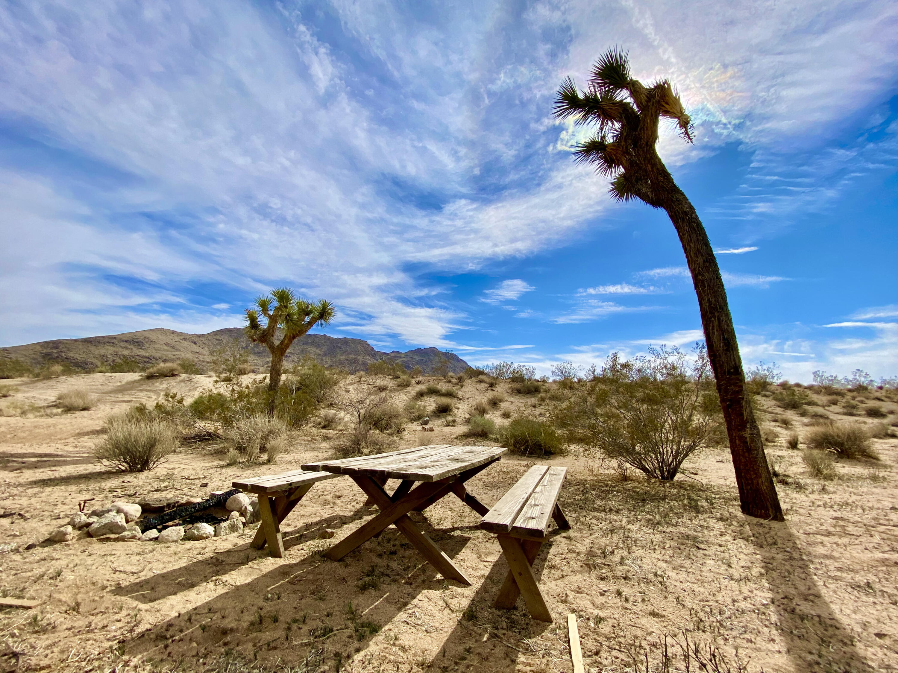 303 Drexel Road Joshua Tree, CA 92252 - Photo 5 of 11 IMG_9428