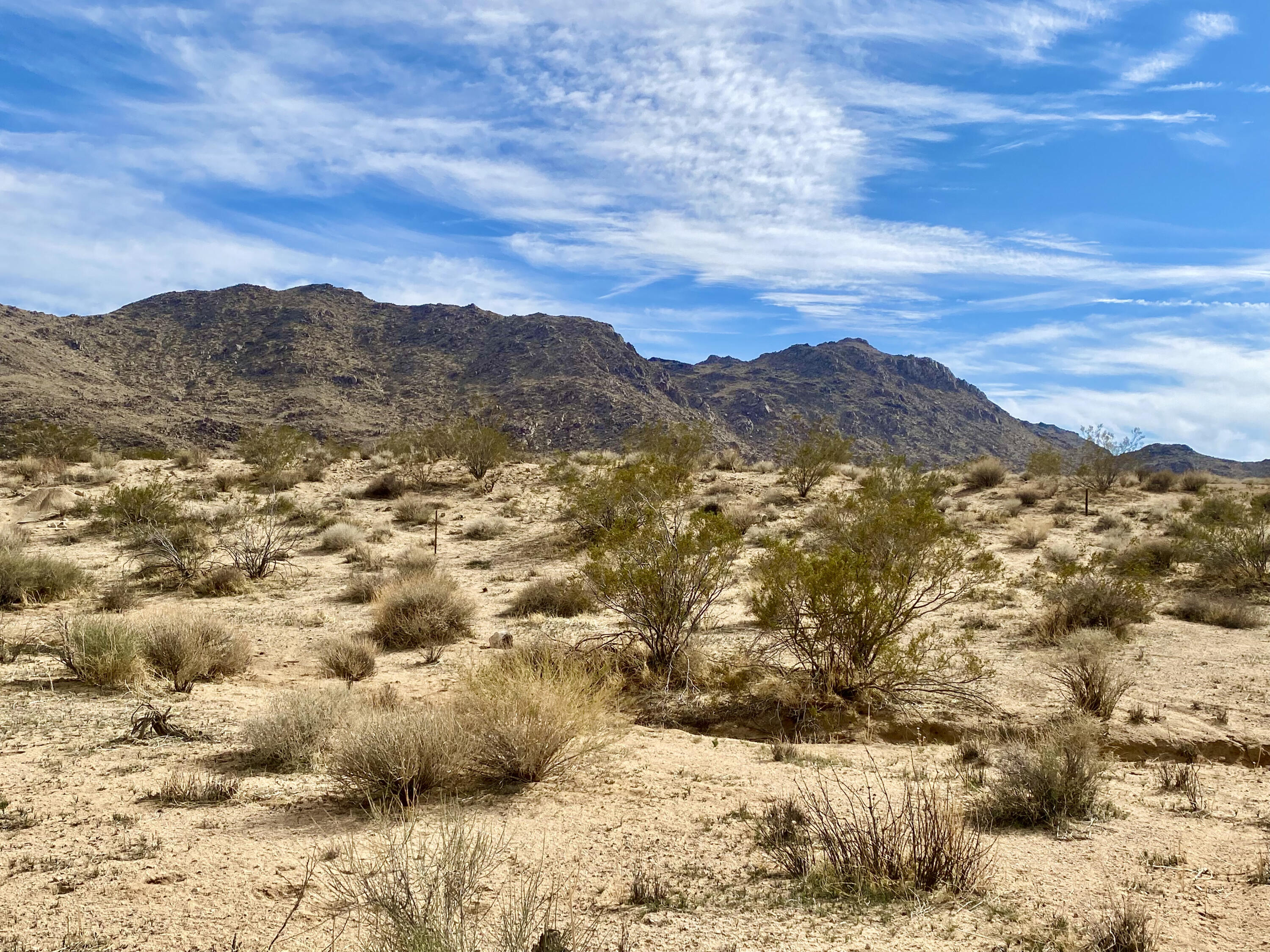 303 Drexel Road Joshua Tree, CA 92252 - Photo 6 of 11 IMG_9439