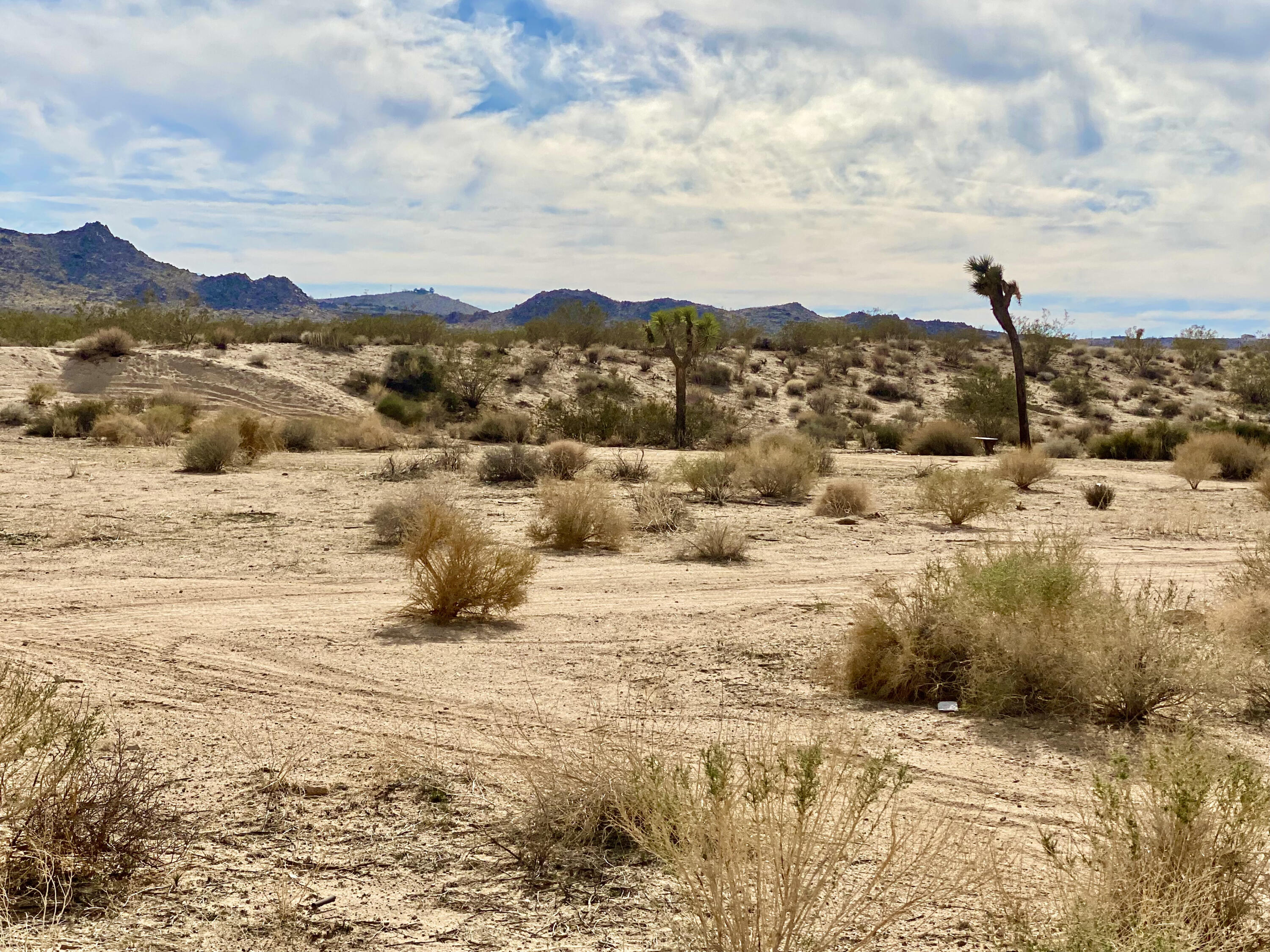 303 Drexel Road Joshua Tree, CA 92252 - Photo 7 of 11 IMG_9461