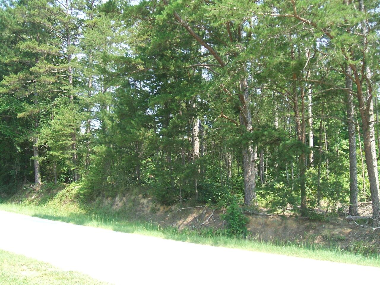 0 New Hope Road, Unit TR 2 Toccoa, GA 30577 - Photo 1 of 1