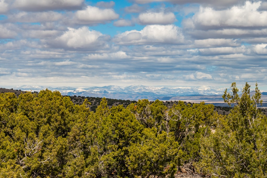 Tbd Hanuman Road Cerrillos, NM 87010 - Photo 14 of 33