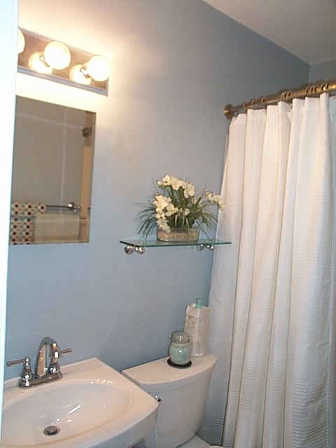 2344 Lyndhurst Road Waynesboro, VA 22980 - Photo 19 of 25 a bathroom with a sink a toilet and a mirror