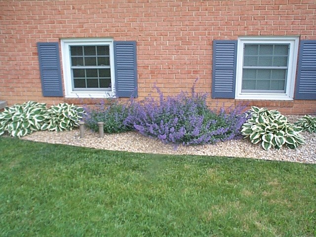 2344 Lyndhurst Road Waynesboro, VA 22980 - Photo 24 of 25 a front view of a house with a garden