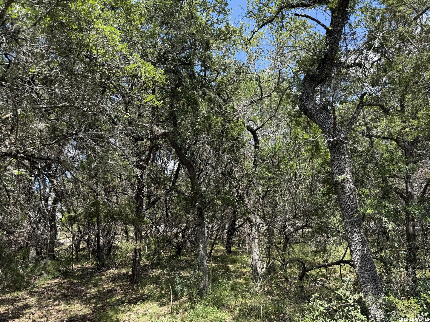180 Rosenberry Bulverde, TX 78163 - Photo 23 of 28 Gallery Image 23