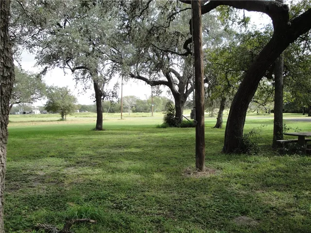 a view of grassy field with trees