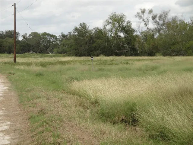 a view of a field with trees in background