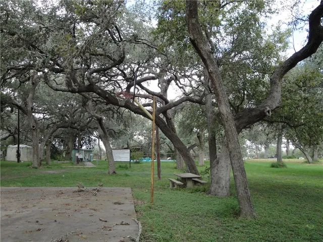 a view of a trees with a yard