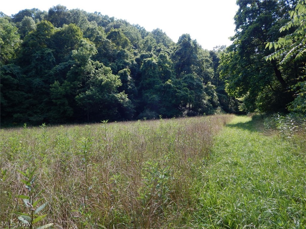 Cantwell Ridge Road Walker, WV 26180 - Photo 2 of 4