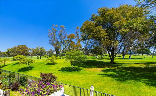 a view of a park with large trees