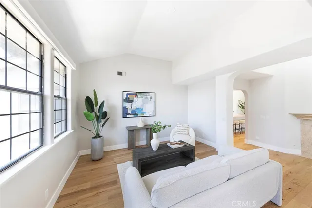 a living room with furniture and a potted plant