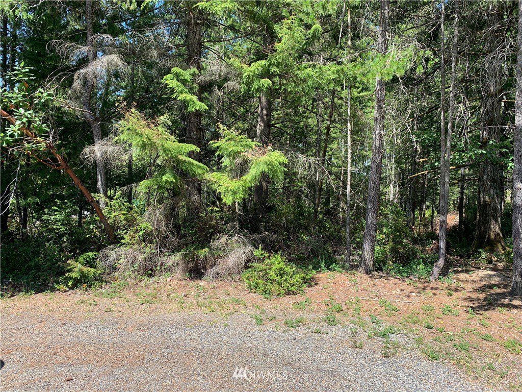 0 East Arellem Road Union, WA 98592 - Photo 2 of 5 Gallery Image 2